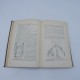 1879 handboek der vrijmetselarij